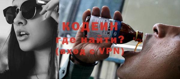 прущие грибы Верхний Тагил