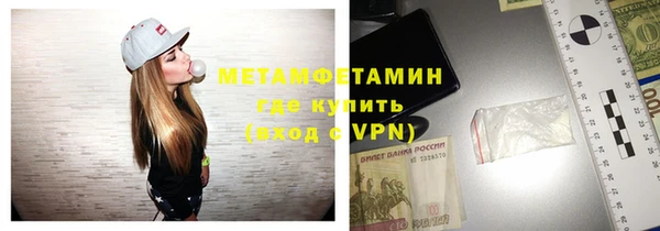 прущие грибы Верхний Тагил