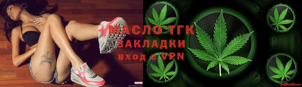 прущие грибы Верхний Тагил