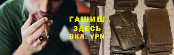 прущие грибы Верхний Тагил