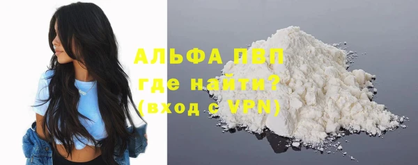 прущие грибы Верхний Тагил