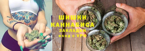 прущие грибы Верхний Тагил