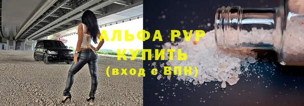 прущие грибы Верхний Тагил