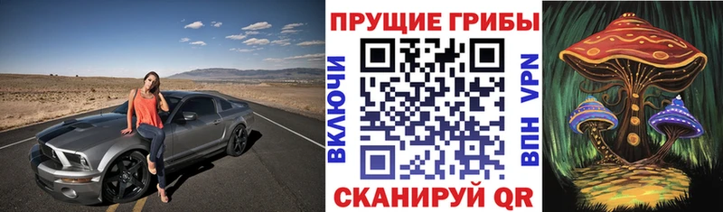 Галлюциногенные грибы Psilocybe Наволоки