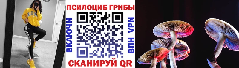 Галлюциногенные грибы Cubensis  shop какой сайт  Наволоки 