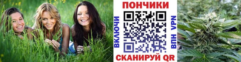 Бошки марихуана VHQ  Наволоки 